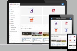 Online Auction Platform